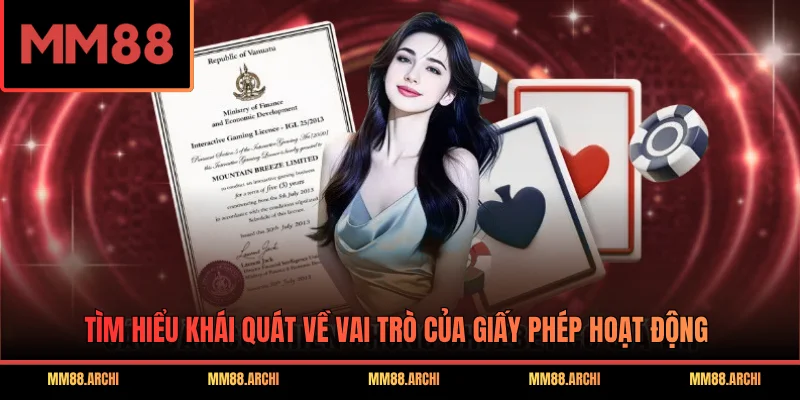 Tìm hiểu khái quát về vai trò của giấy phép hoạt động
