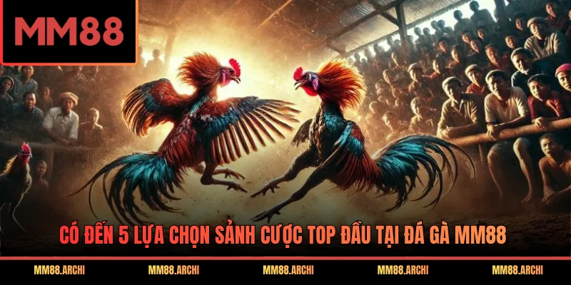 Có đến 5 lựa chọn sảnh cược top đầu tại đá gà MM88