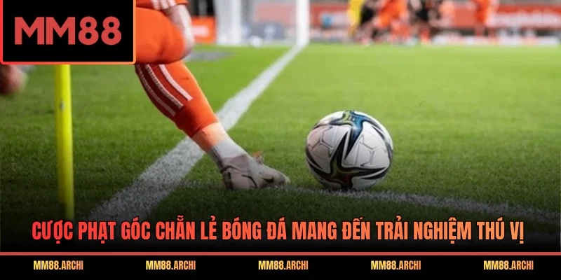 Cược phạt góc chẵn lẻ bóng đá mang đến trải nghiệm thú vị