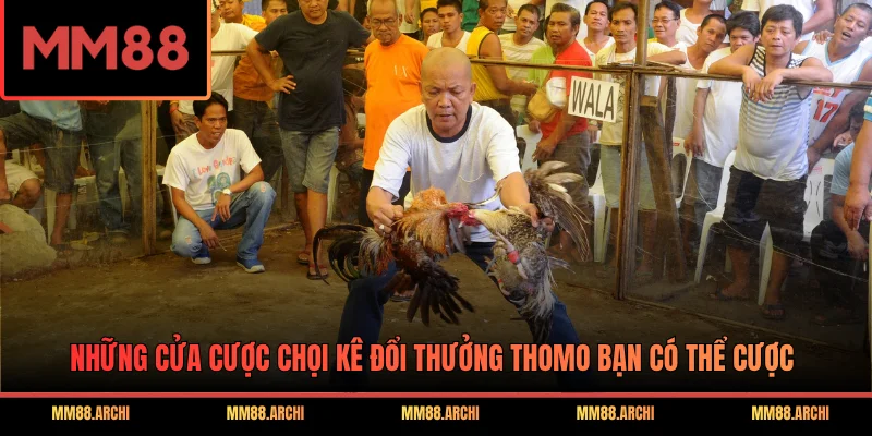 Những cửa cược chọi kê đổi thưởng Thomo bạn có thể cược
